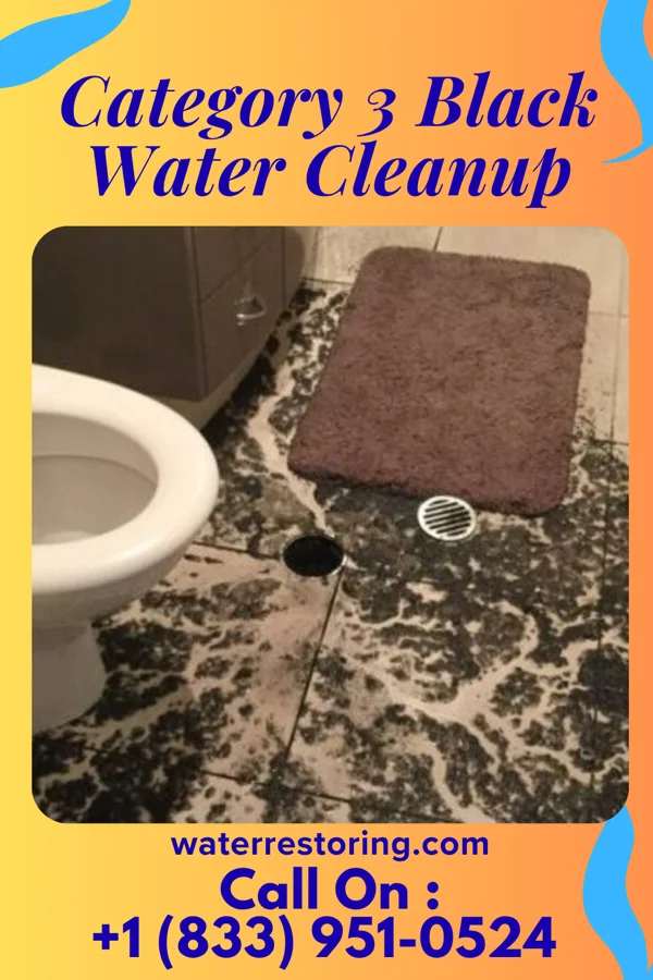 Category 3 Black Water Cleanup in Milford Mill, MD